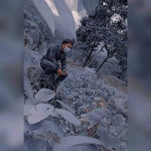 Meet your Posher, Andrade